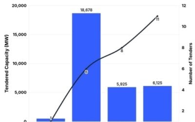 The amount tendered in Q1 2025 has already surpassed the 2024 total. Image: JMK Research and Analysis